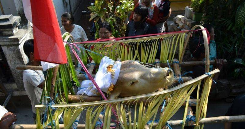 Youtube.com/Jelajahnesia